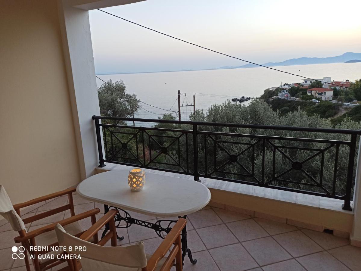 Thalina Hotel Marathokampos Bagian luar foto